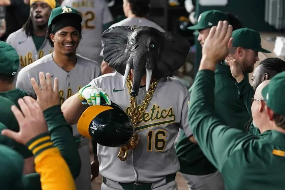 The A's currently have a 75 percent chance to make the postseason, according to Baseball Reference.